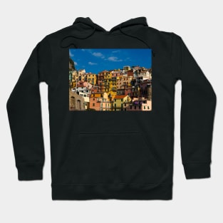 View on the cliff town of Manarola, one of the colorful Cinque Terre on the Italian west coast Hoodie